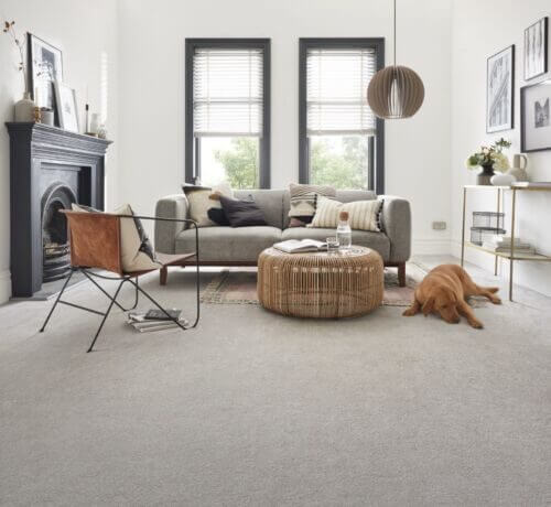 Bliss - Kingsmead Carpets