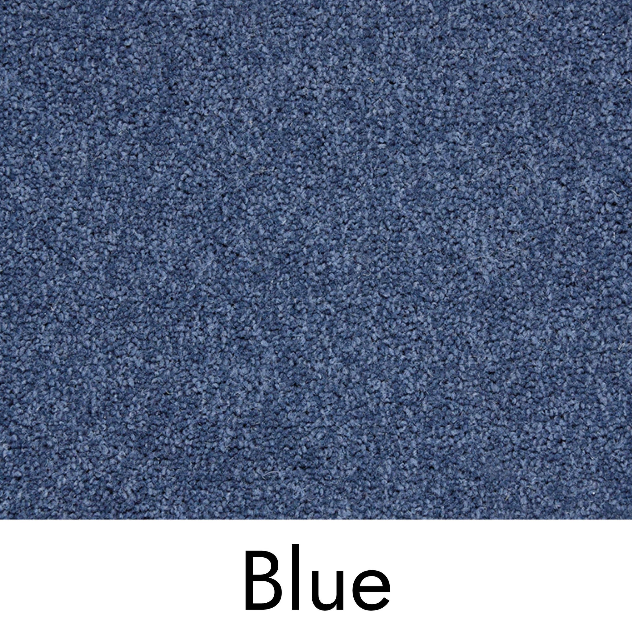 Blue Carpet - Floor to Door