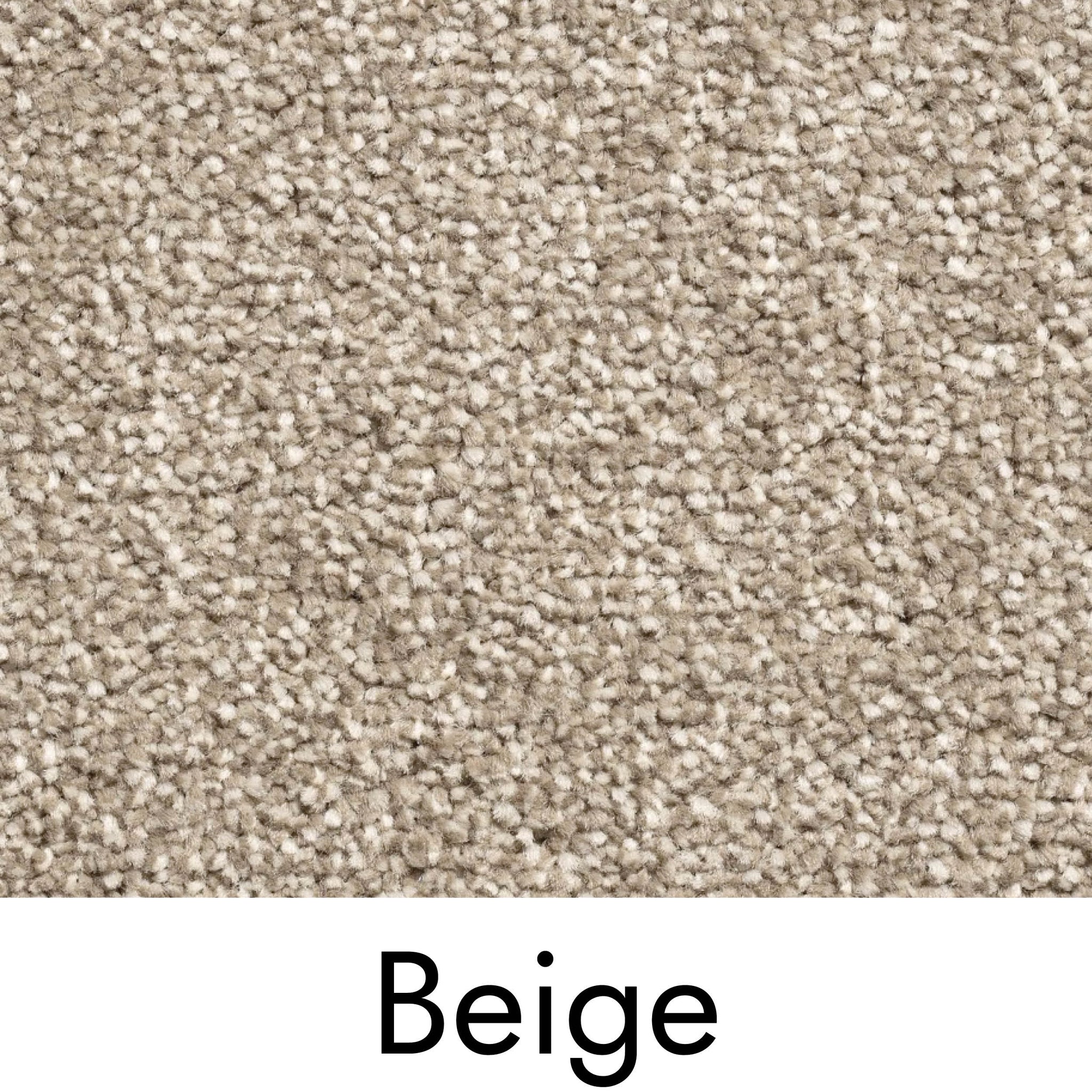 Beige Carpet - Floor to Door