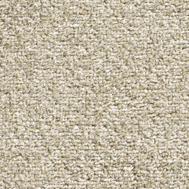 240 Willow - Rimini - Condor Carpets