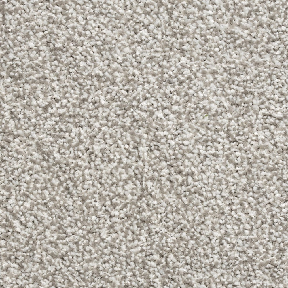 274 - Mayfair Classic - Condor Carpet