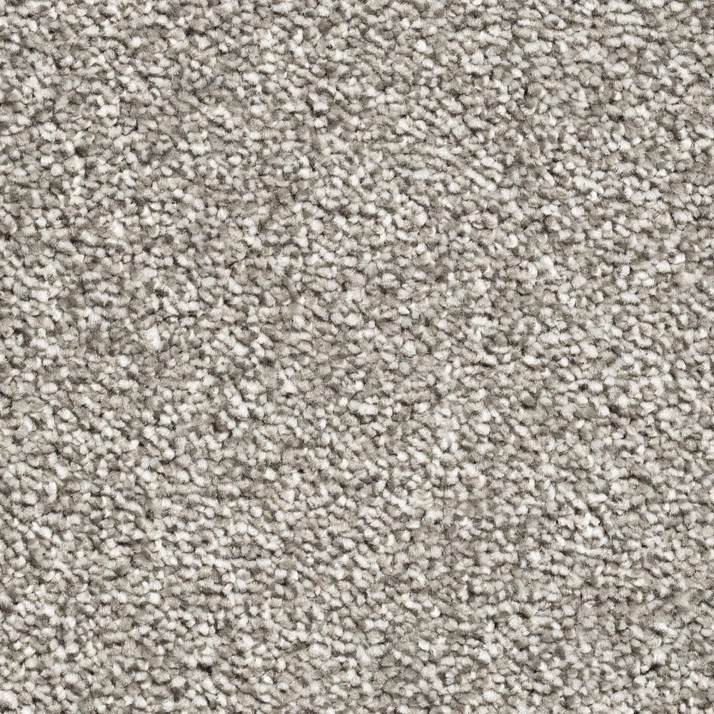 276 - Mayfair Classic - Condor Carpet