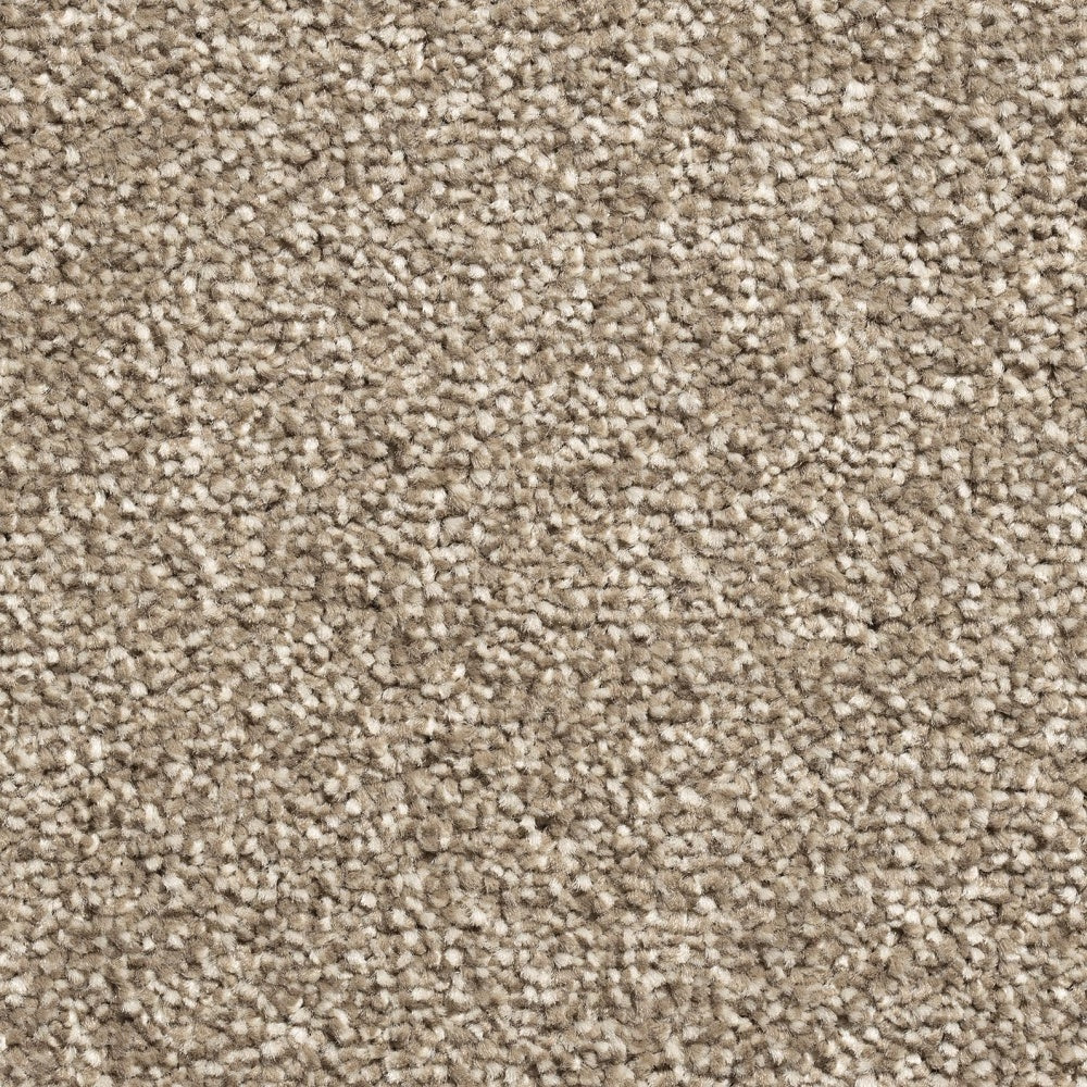 372 - Mayfair Classic - Condor Carpet