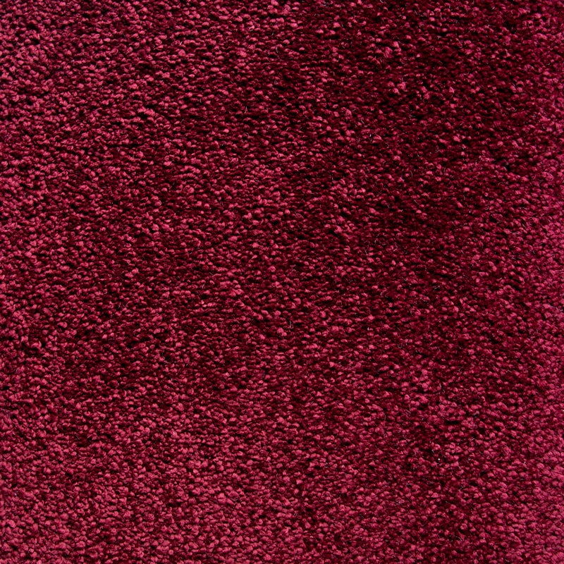 Allora - Molto Bella Carpet - By Lifestyle Floor