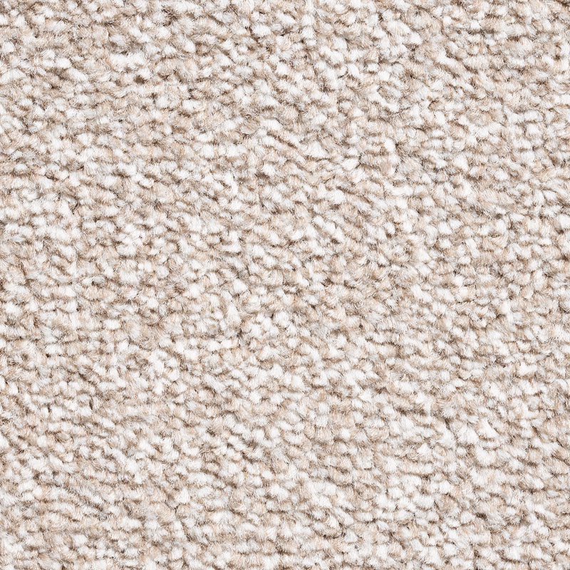 Cookie - Fantastic Plus - Kingsmead Carpet