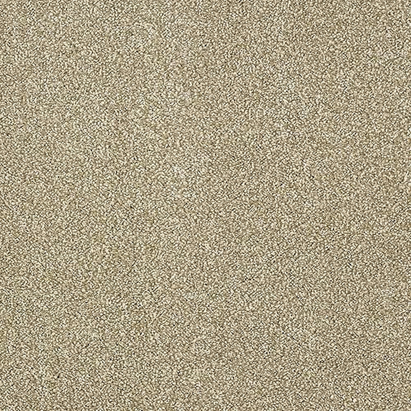 Desert Sands - Stainfree Aristocat - Abingdon Floors