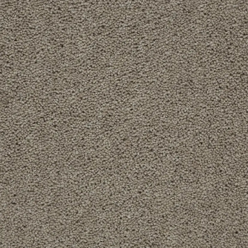 Dusky Grey - Perfect Home - Kingsmead Carpets