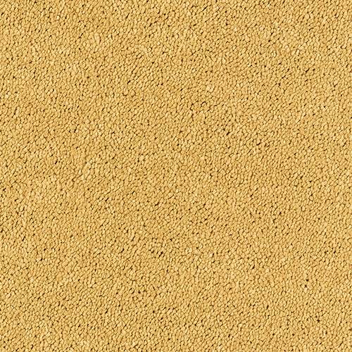 Gold - Stainfree Sophisticat - Abingdon Floors
