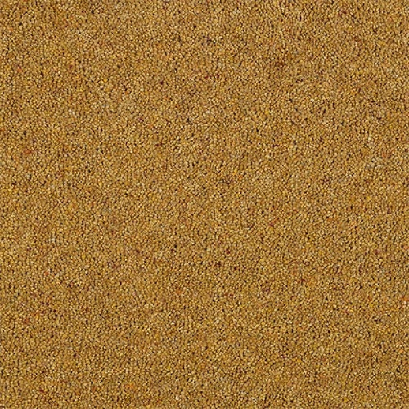 Mustard - Charter Berber Deluxe -  Abingdon Floors
