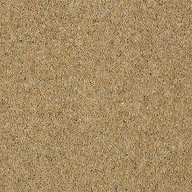 Sandstone - Charter Berber Deluxe -  Abingdon Floors