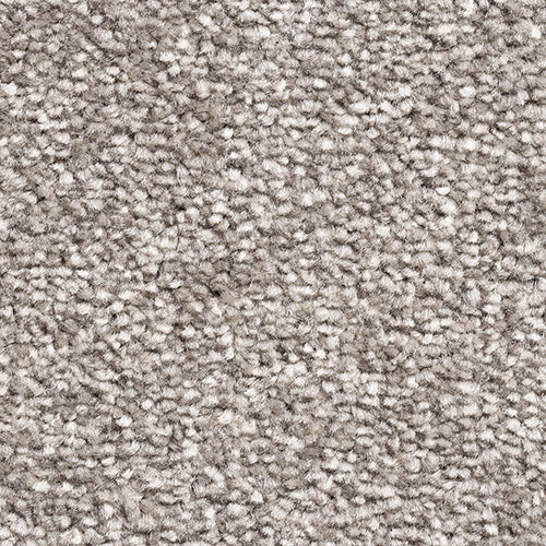 Silver Lining  - Fantastic Plus - Kingsmead Carpet