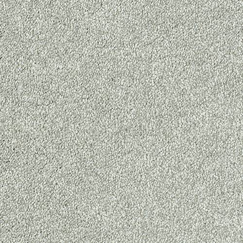 Silver - Stainfree Sophisticat - Abingdon Floors