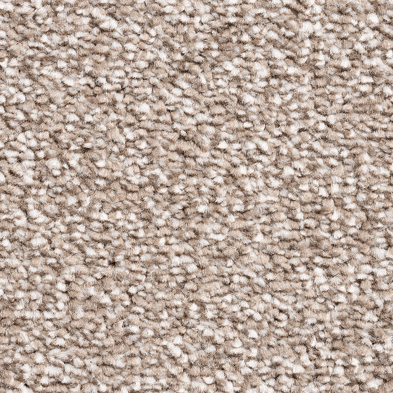 Soft Truffle - Fantastic Plus - Kingsmead Carpet