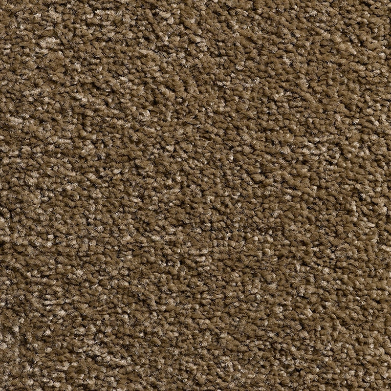 Taupe - Carousel Acton - By Condor Carpet