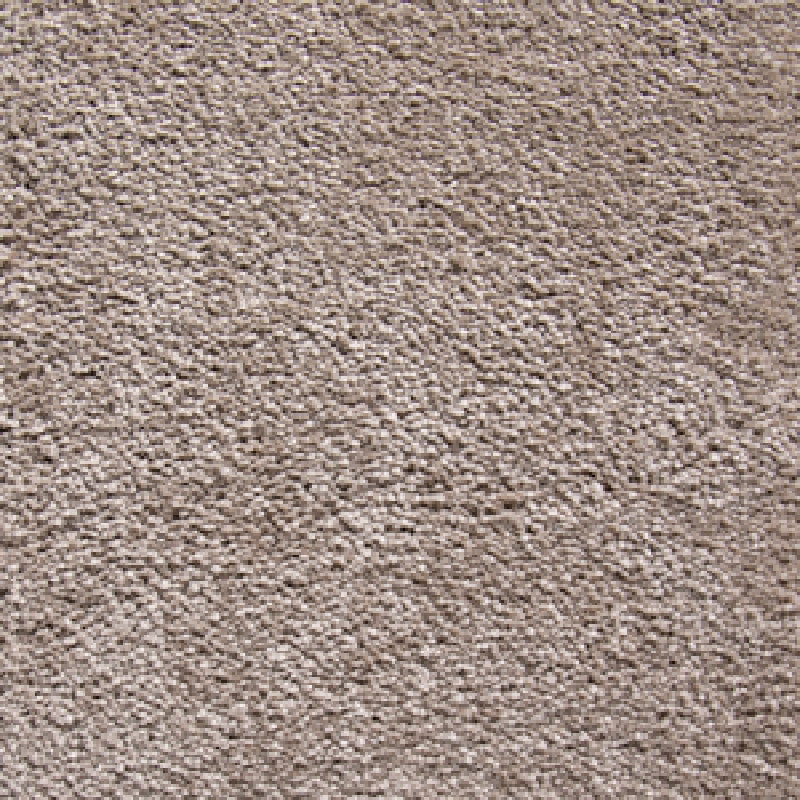 Vita - Molto Bella Carpet - By Lifestyle Floors
