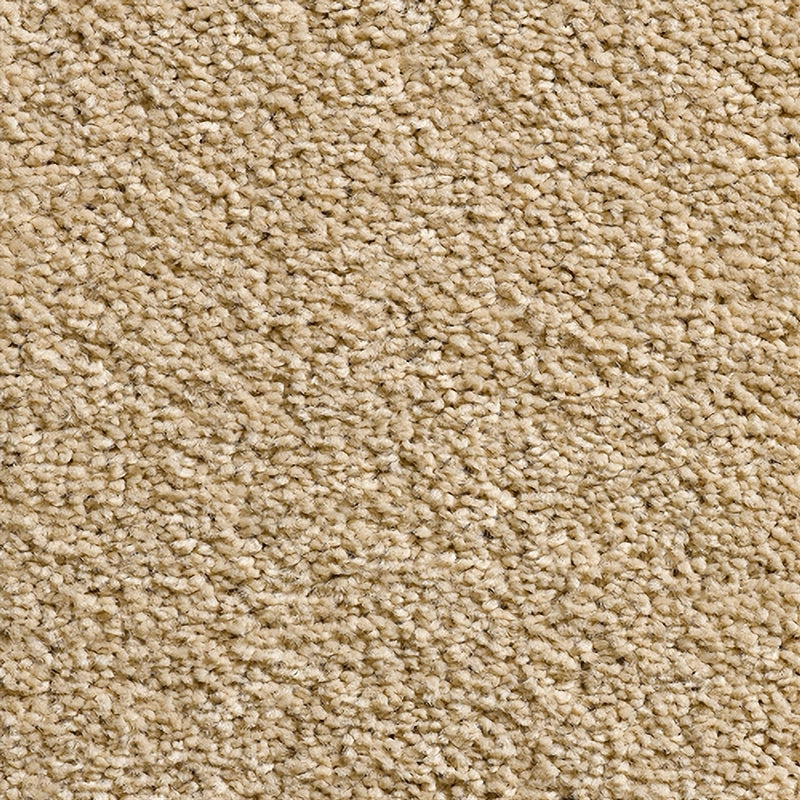 Wheat - Carousel Acton - By Condor Carpet