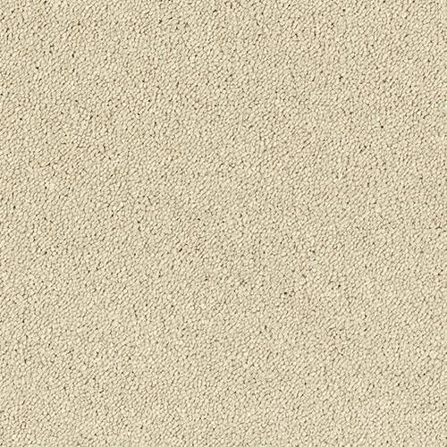 Cotton - Stainfree Sophisticat - Abingdon Floors