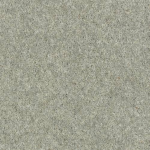Silver Birch - Royal Charter Deluxe - Abingdon Floors